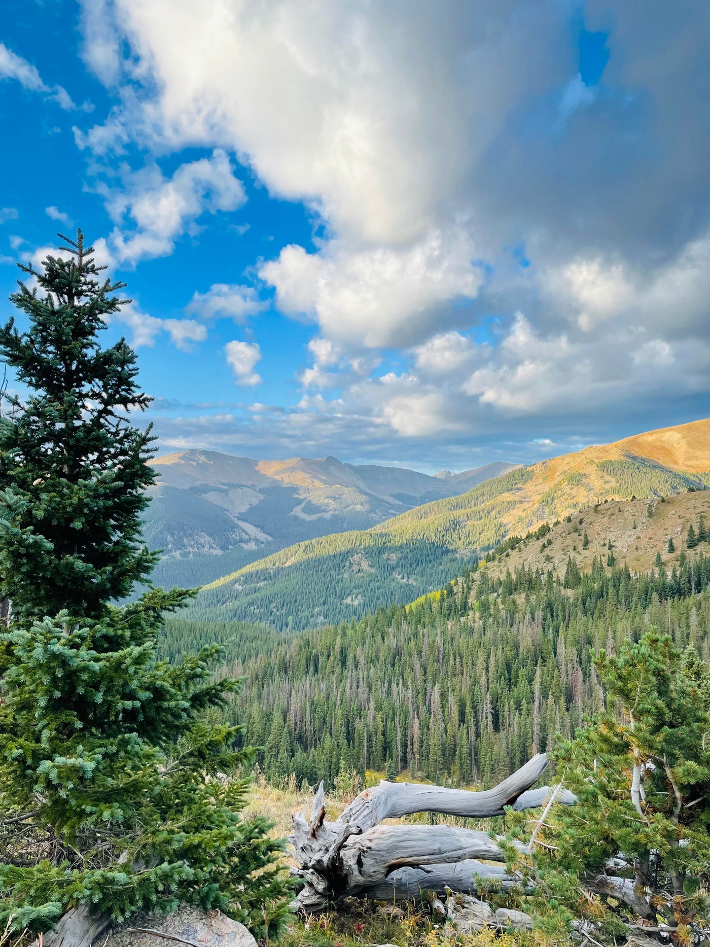 Summer Hiking in Colorado - Beautiful Rocky Mountains