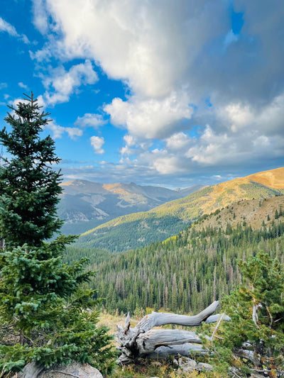 10 Epic Summer Hikes in Colorado