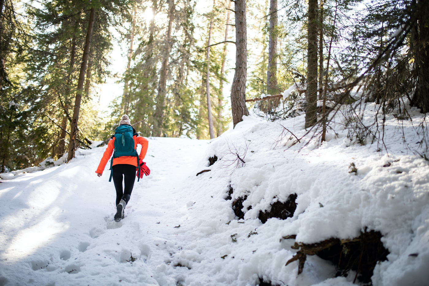 Winter Hiking – Adventum Colorado