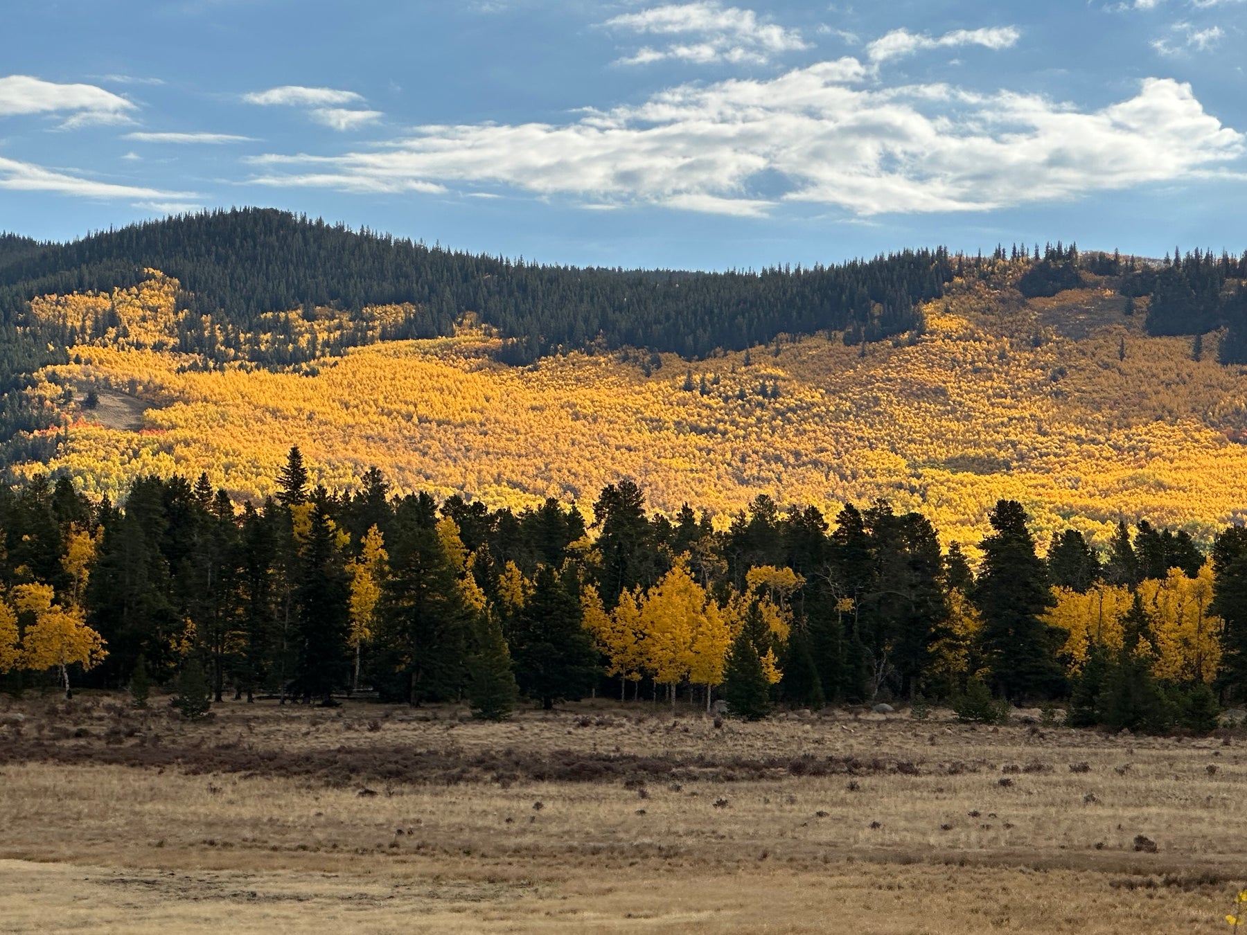 Fall Colors in Colorado Rockies